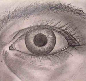 Auge_mein26KB